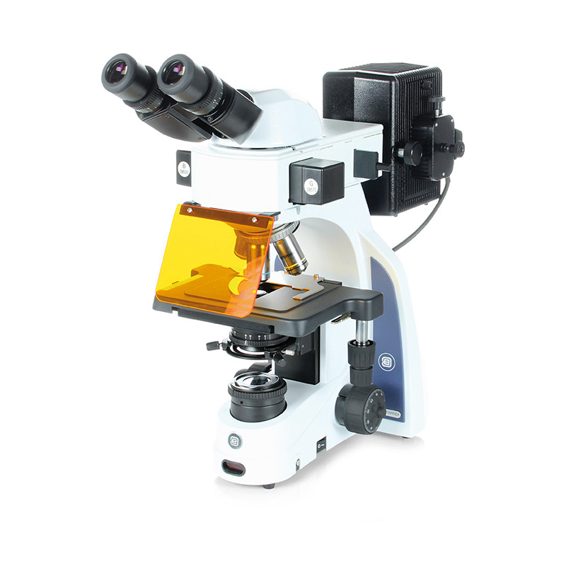 Microscope Euromex iScope,  IS.3152-PLFi/3, bino
