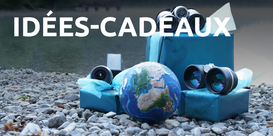 Idées de cadeaux