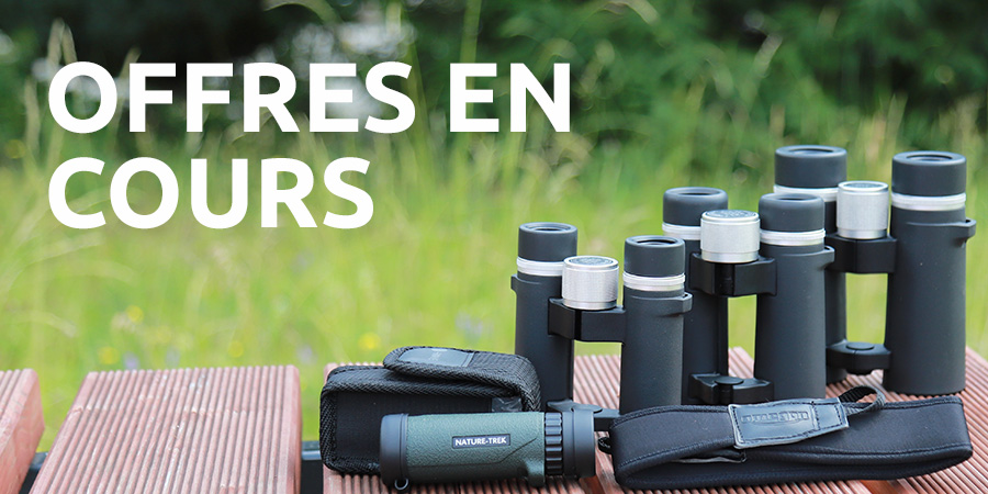 Offres Montures