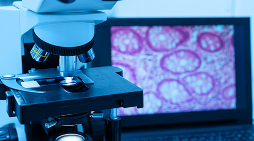 Cytologie & Pathologie