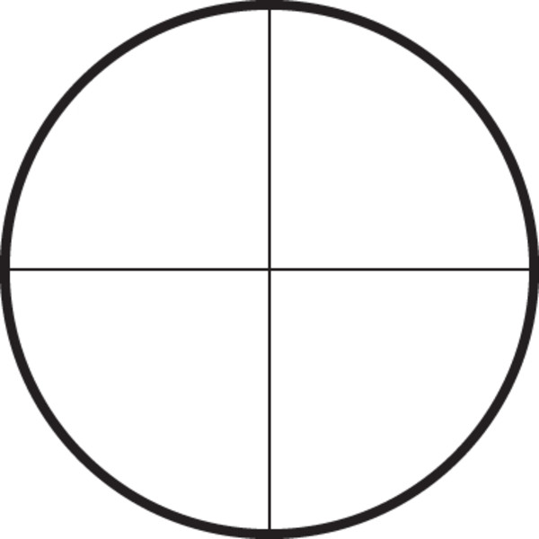 Lunette de tir Leupold Competition 45x45