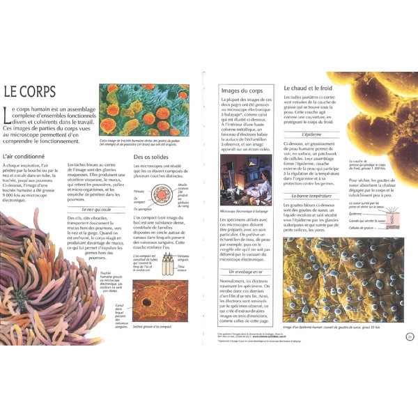 Edition Usborne Le Monde Microscopique