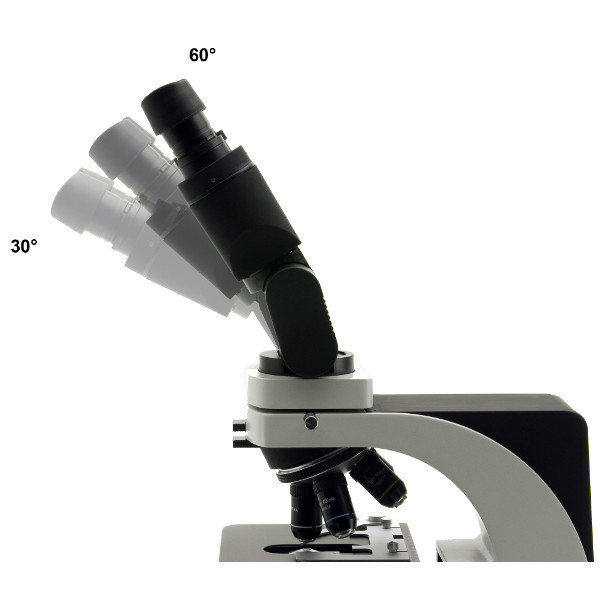 Optika Microscope binoculaire, ERGO Kopf, Plan Objektive B-500 ERGO