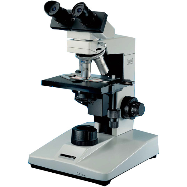 Microscope Hund H 600 BS, bino, 100x - 1000x