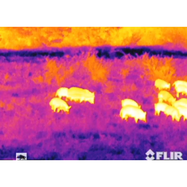 Caméra à imagerie thermique Armasight Helios 336HD 5-20x75 (9Hz)