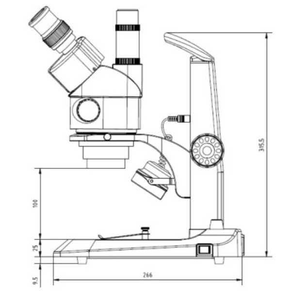 Euromex StereoBlue SB.1903, trino, zoom