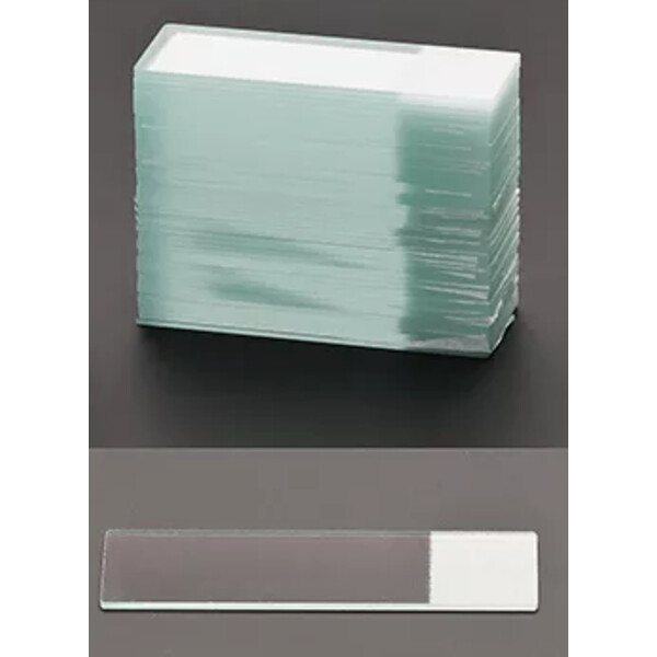 Windaus Lames porte-objets avec champ d'inscription, lot de 50.