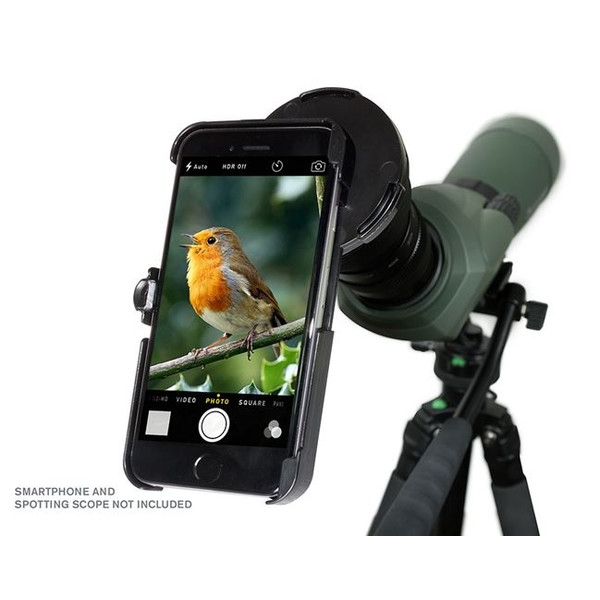 Celestron Adaptateur smartphone Regal pour iPhone 6+