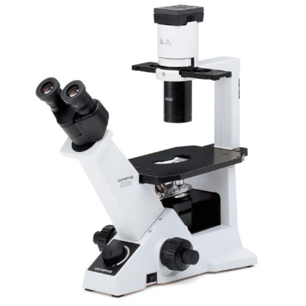 Microscope inversé Evident Olympus CKX31 champ clair, Hal, bino, 40x, 100x, 200x, 400x