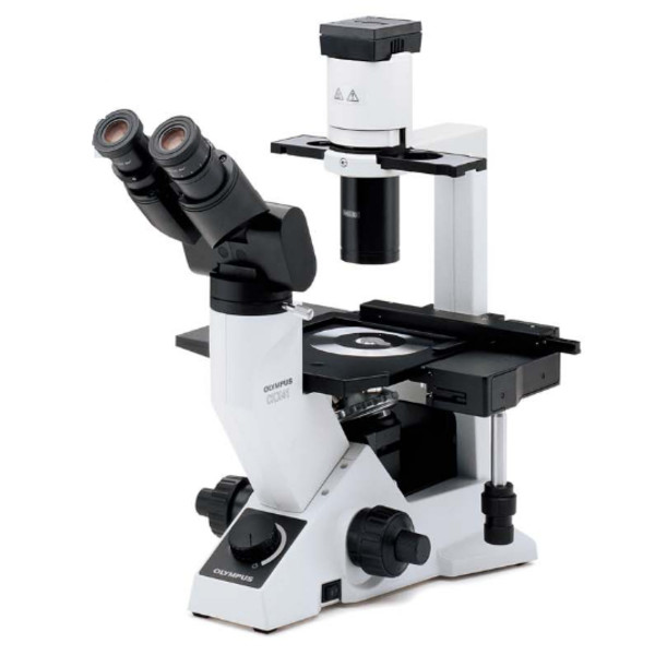 Microscope Olympus CKX41, bino, ergo, Hal, 40x, 100x, 200x, 400x