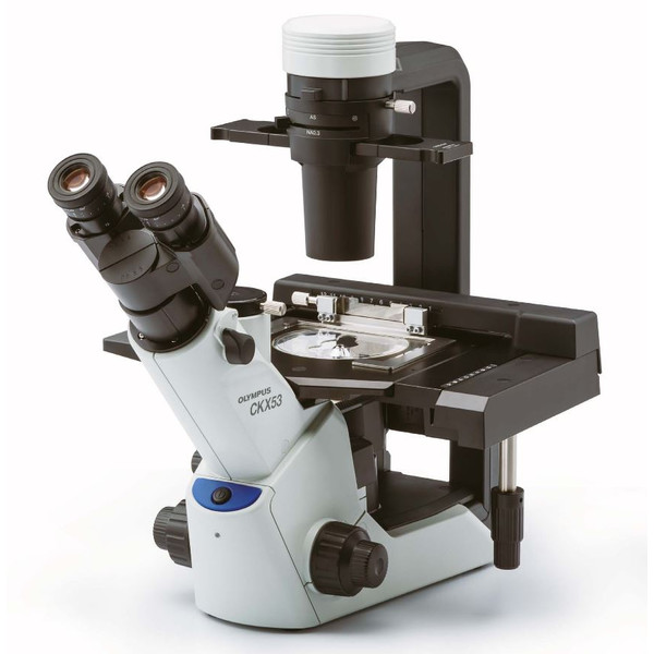 Microscope inversé Evident Olympus Olympus CKX53 mit Tischtrieb, trino, infinity, plan achro, LED, ohne Objektive!
