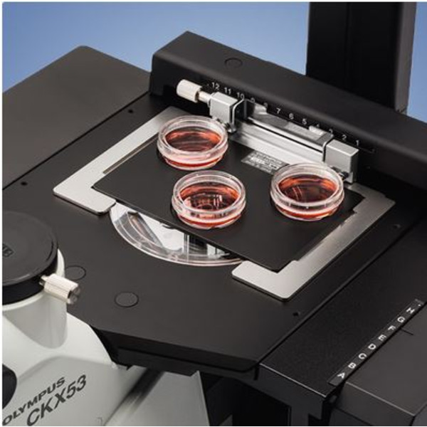 Microscope inversé Evident Olympus CKX53, trino, 100x, 200x, 400x, IPC/IVC x/y-stage