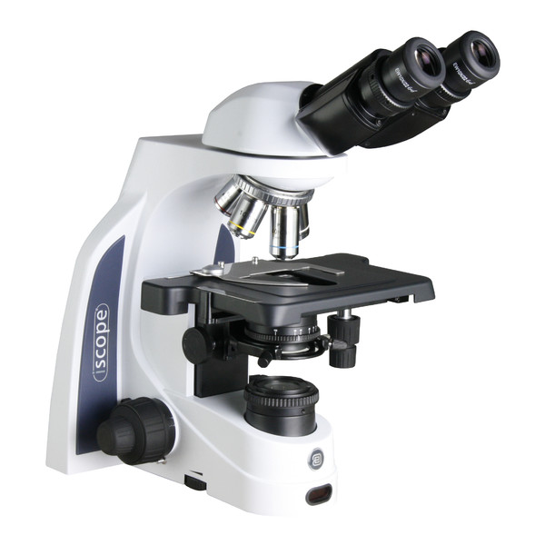 Microscope Euromex iScope IS.1152-PLi/DF, bino