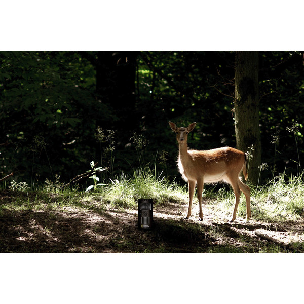 Appareil-photo spécial gibier National Geographic Caméra de chasse et d'observation