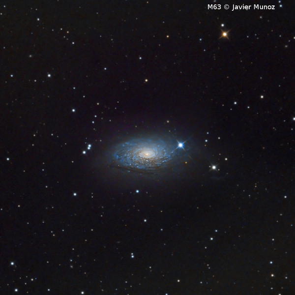 Omegon Télescope RC 154/1370 EQ570DX