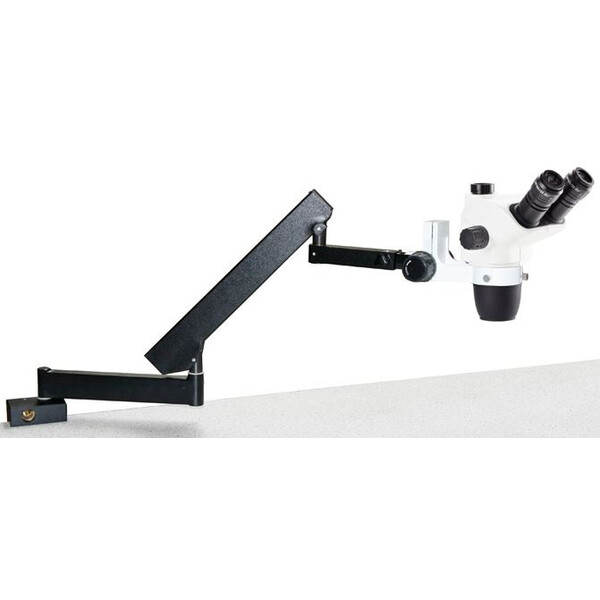 Euromex NZ.1703-AP, NexiusZoom EVO, 6,5x à 55x Bras articulé avec pince de table, sans éclairage, trino