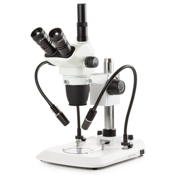 Euromex NexiusZoom Evo NZ.1703-PG, trino, 6,5x-55x