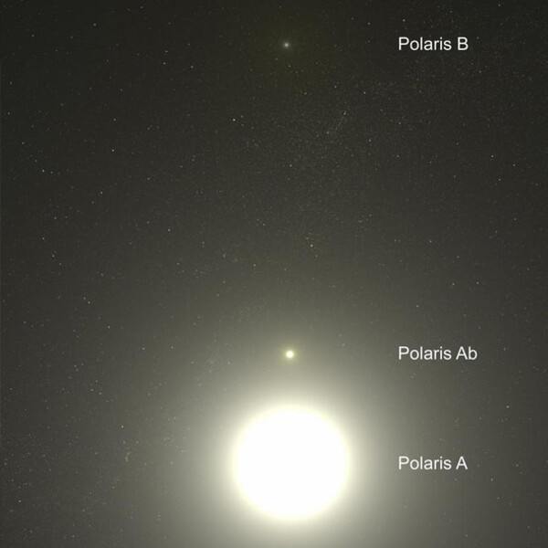 Celestial Buddies Polaris Ab et Polaris B