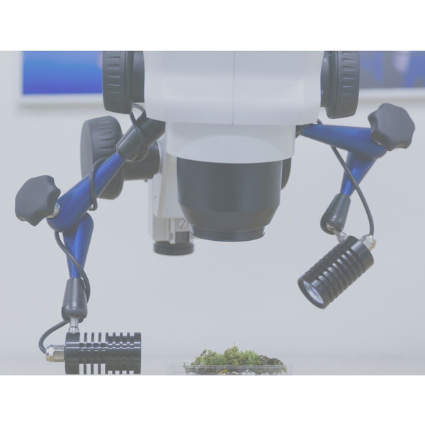 Pulch+Lorenz Éclairage LED double spot pour Trépied Flexi