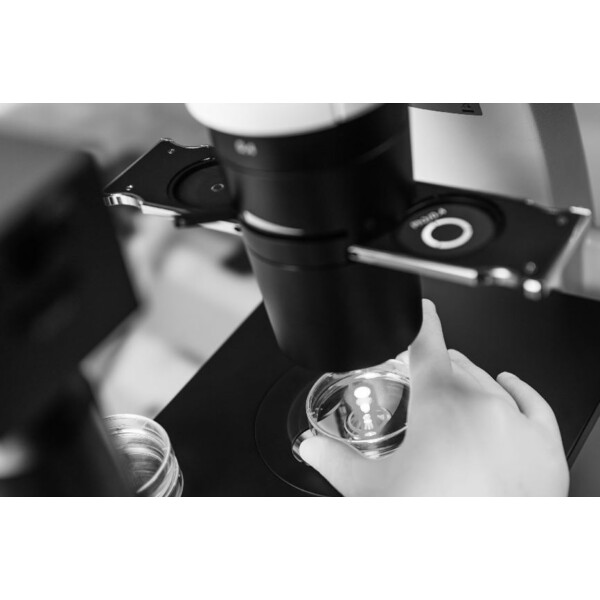 Microscope inversé ZEISS Primovert trino PH1, 40x-400x