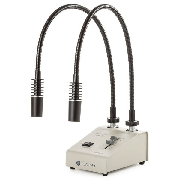 Euromex Source de lumière LE.5207, avec 2 cols de cygne Conducteurs optiques 2x3W, 6500K