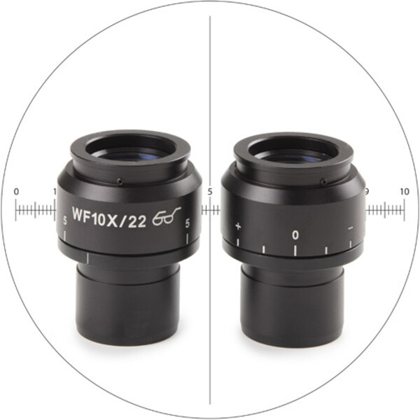 Oculaire de mesure Euromex NZ.6210-CM, 10x/22 mm SWF, micromètre, réticule, (Nexius EVO)
