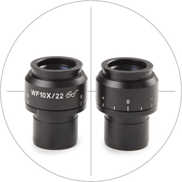 Euromex Oculaire micrométrique NZ.6210-C, 10x/22 mm SWF, réticule (Nexius EVO)