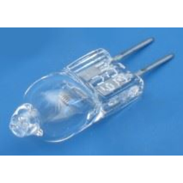 ZEISS Lampe 6 V 30 W halogène (Primo)