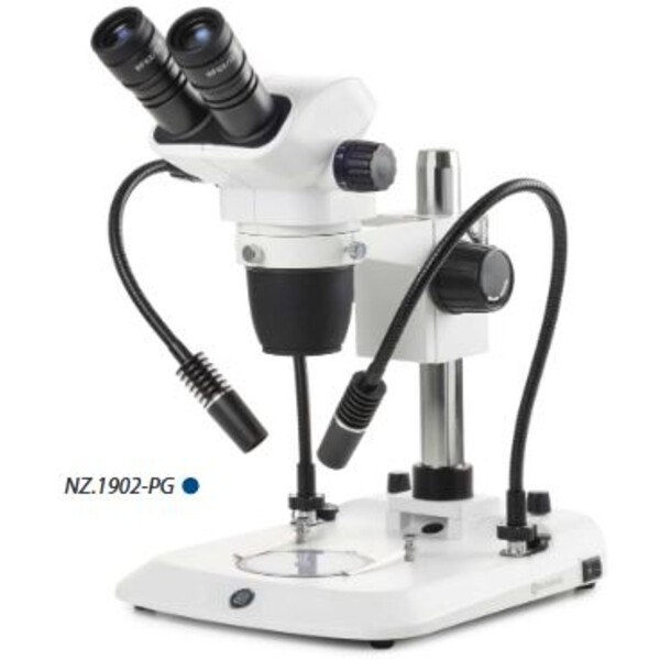 Microscope stéréo zoom Euromex NZ.1702-PG, 6.5-55x, Colonne, 2 Cols de cygne, Lumière transmise, bino