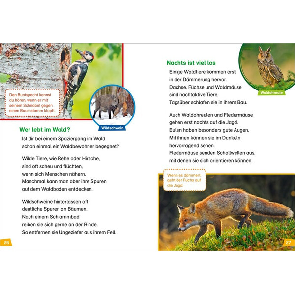 Tessloff-Verlag WAS IST WAS Première lecture : Découvrir la nature