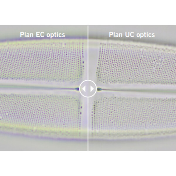 Microscope Motic Panthera E2, Trinoculaire, HF, Infinity, plan achro., 40x-1000x, LED Köhler fixe