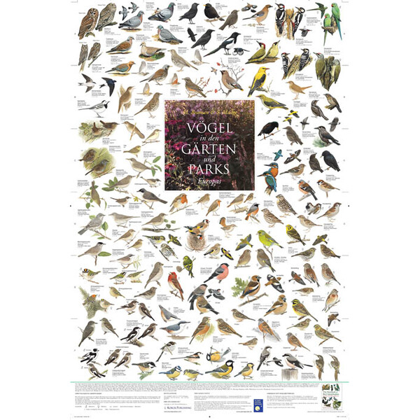 Affiche Planet Poster Editions Vögel in den Gärten und Parks Europas