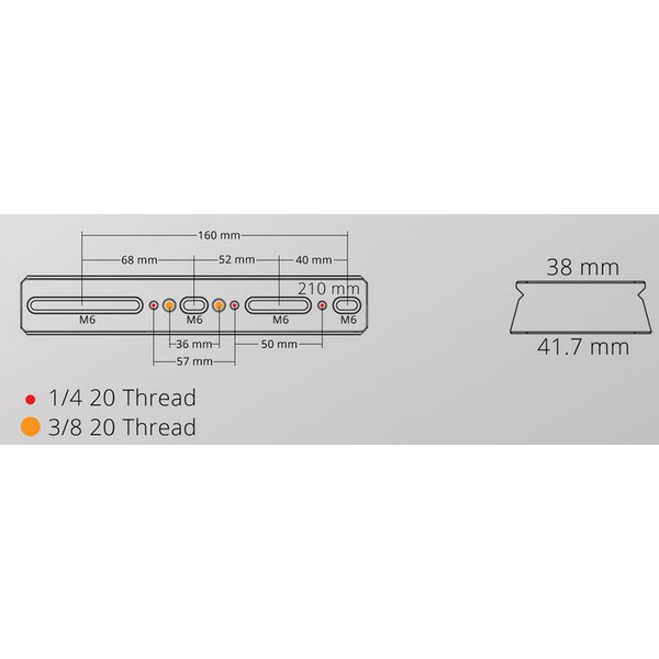 William Optics Queue d'aronde mâle DSD 210