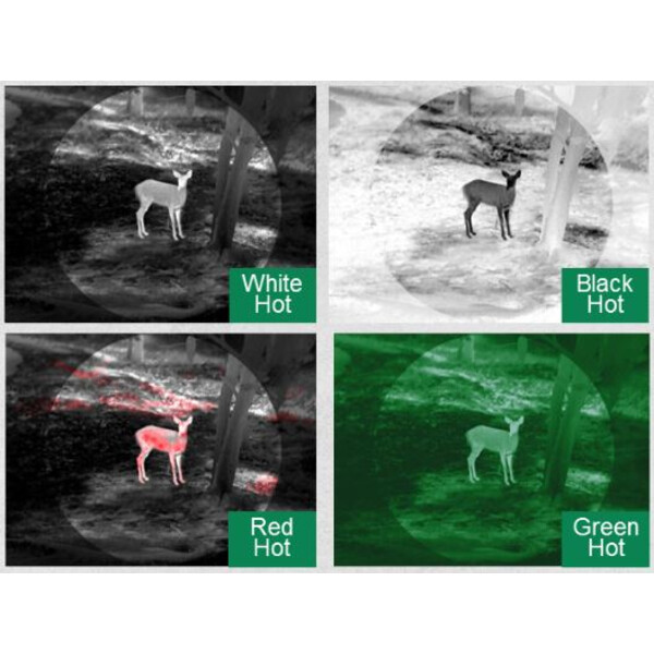 Caméra à imagerie thermique Guide Wärmebildgerät Track IR19 Pro