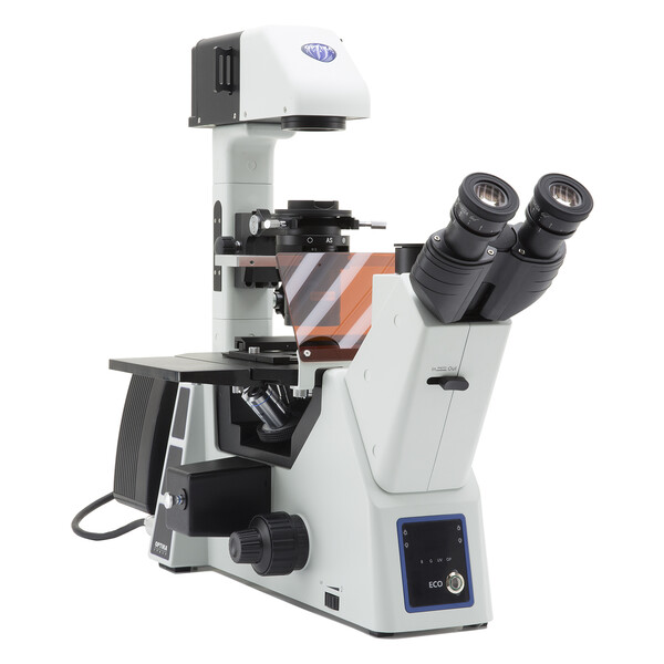 Microscope inversé Optika Mikroskop IM-5FLD-EU, trino, invers, FL-LED, w.o. objectives, EU