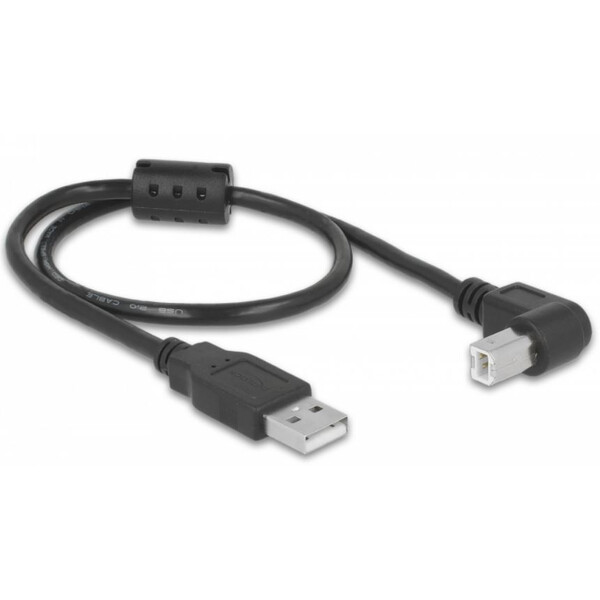 PegasusAstro Kit de câbles USB 2x USB2.0 Type-B 50cm