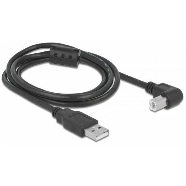 PegasusAstro Kit de câbles USB 2x USB2.0 Type-B 1m