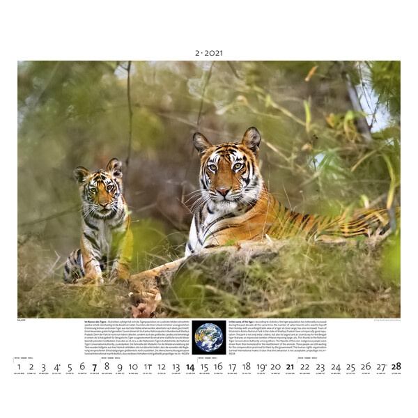 Calendrier Palazzi Verlag Planet Erde 2021