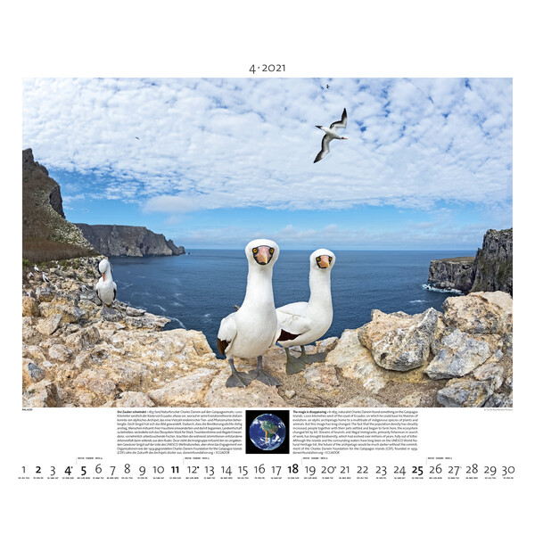 Calendrier Palazzi Verlag Planet Earth 2021