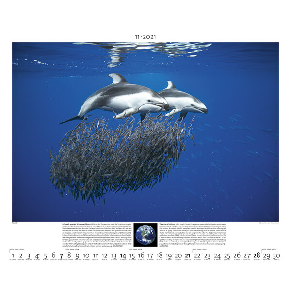 Calendrier Palazzi Verlag Planet Erde 2021