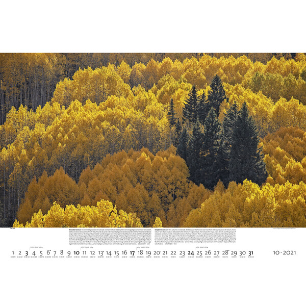 Calendrier Palazzi Verlag Forêts de la Terre 2021