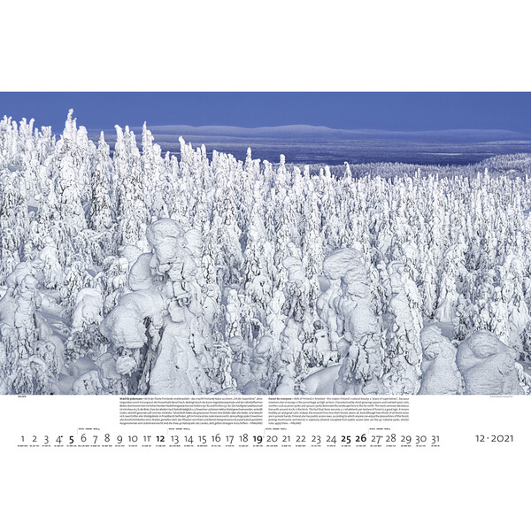Calendrier Palazzi Verlag Forêts de la Terre 2021
