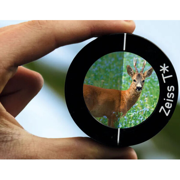 Lunette de tir ZEISS Victory V8 4.8-35 x 60 Abs. 60 ASV H & S