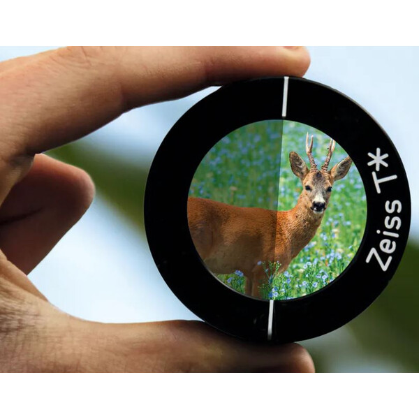 Lunette de tir ZEISS Victory HT 2,5-10 x 50 Abs. 60 ASV+ H & S