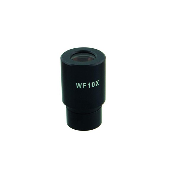 Windaus Oculaire grand champ WF 10x, avec micromètre, pour HPM 300