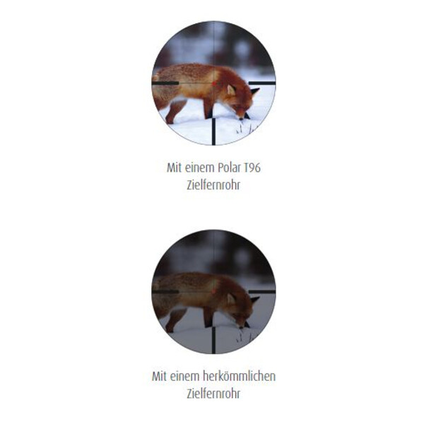 Lunette de tir Schmidt & Bender 2.5-10x50 Polar T96 Abs. D7, 34mm, Sans rail // Without rail ASV II // BDC II / Posicon