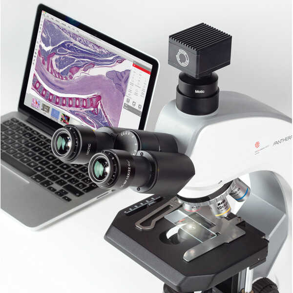 Microscope Motic Panthera C2 Trinoculaire, infinity, plan, achro, 40x-1000x, 10x/22mm, Halogen/LED