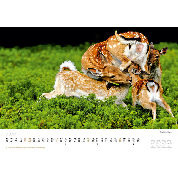 Calendrier Paul Parey Faszination Natur 2022