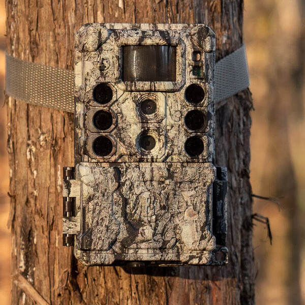 Appareil-photo spécial gibier Bushnell 32MP CORE DS4K Tree Bark Camo No Glow, Boîte 5L