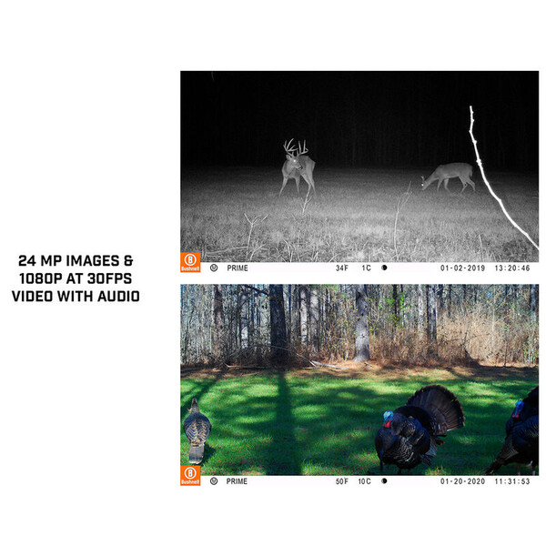 Appareil-photo spécial gibier Bushnell 24MP Prime core prime marron low glow